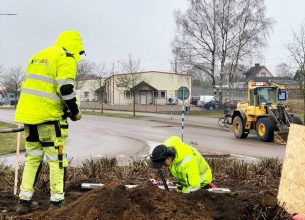 56573502_1668555263247904_6171900156477177856_n